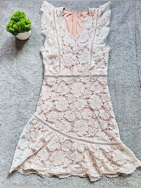 Romantic Cottagecore Lace Ruffle Mini Dress 🤍Feminine Coquette Rose 🌹